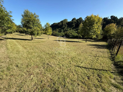 Hectárea , Camino Bajos De Frutillar, Sin Condominio