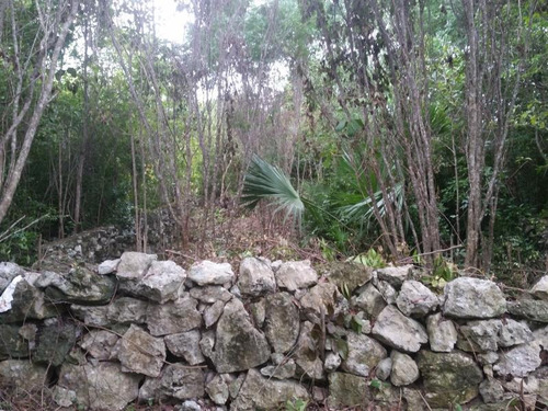 Imagen 4 de 12 de Terreno En Venta Cuna Maya Smza. 205