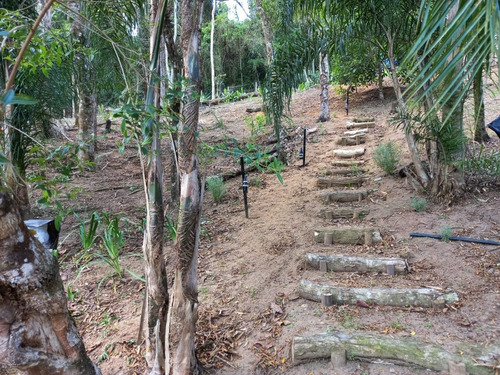 Imagem 8 de 18 de Sitio 21.000 M2 Em Cidade Turistica J.04