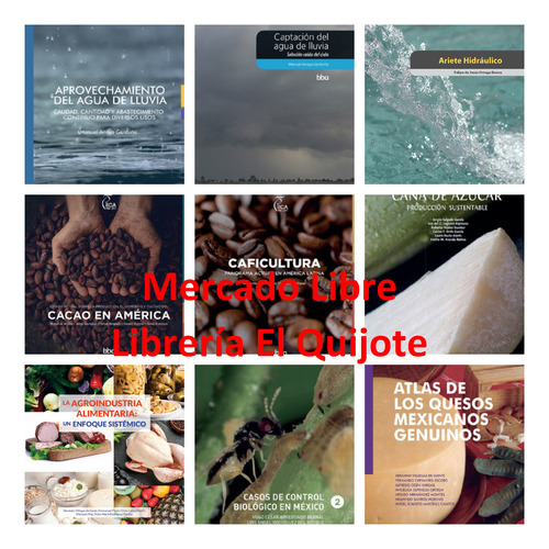 Produccion Sustentable De Bambues En Mexico - Colpos