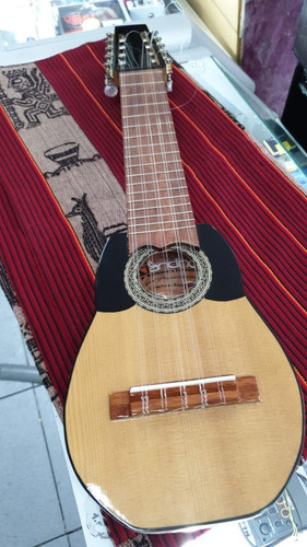 Imagen 4 de 9 de Charango Profesional Diferentes Diseños