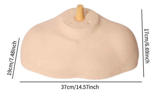 Mannequin Modelo De Hombro Mannequin Soport Soport Soporte