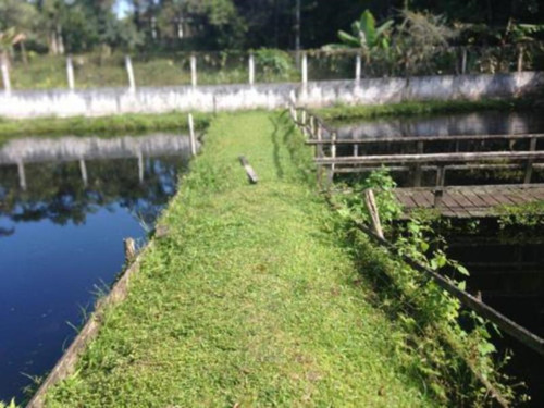 Imagem 22 de 24 de Chácara Em Itanhaém, No Balneário São Fernando, Com Lago, Casa De Caseiro E Churrasqueira, Ref: 2181/ac