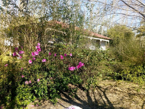 Imagen 5 de 21 de Venta Quinta - Las Cañas