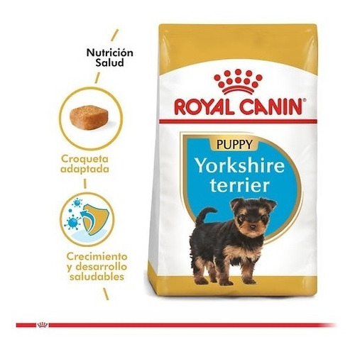 A Todo Chile Despacho - Yorkshire Terrier Junior 1kg.