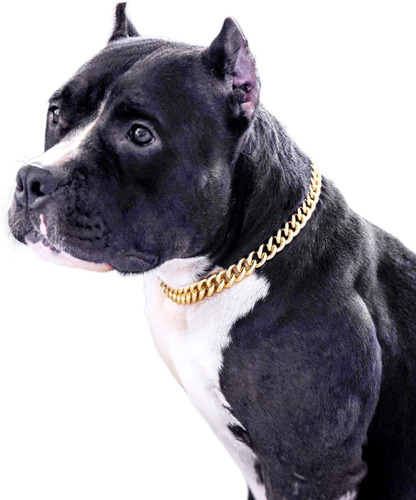 Collar De Perro De Cadena De Oro-15mm Collar De Perro Lindo 