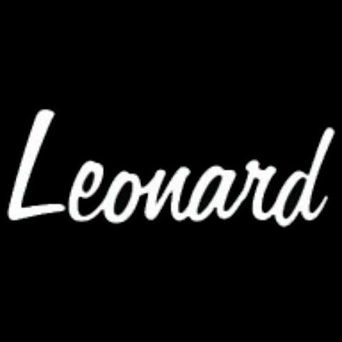 Imagen 4 de 4 de Guitarra Stratocaster Leonard Palanca Blanca Le362wh