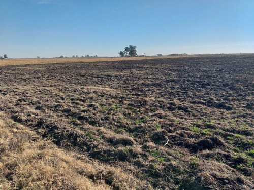 Imagen 11 de 13 de Vendo 90 Hectareas Ganaderas En Ucles, Cba