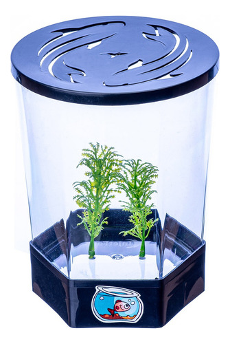 Beteira Para Peixe Betta Aquário 1,4l Cor Preto 110v
