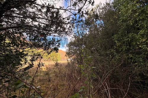 Venta Parcela Plana Entre Pucón Y Curarrehue