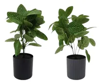 Comprar Planta Artificial Interior 33cmalt Decoración Hogar (setx2)