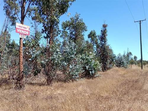 Parcela Sector Trigo Viejo La Estrella Litueche 5000m2