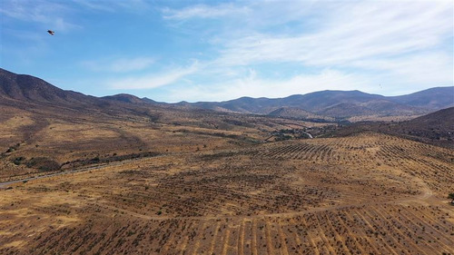 Venta Terreno De 11 Ha En Higueritas Unidas, Ovalle