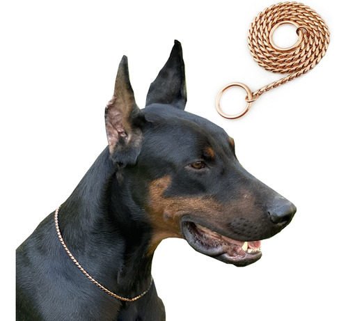 Cilkus - Collar De Cadena De Serpiente Para Perro, Cadena De