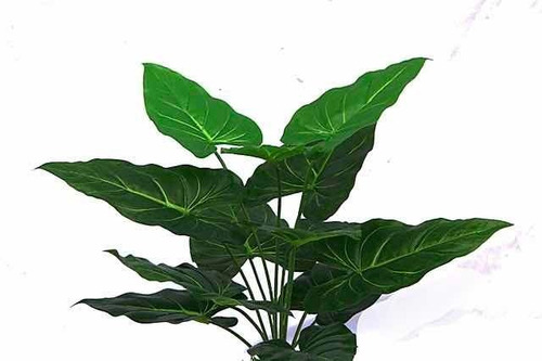 Hoja De Alcatraz Artificial 50cmde Alto Ramo Calidad Premium