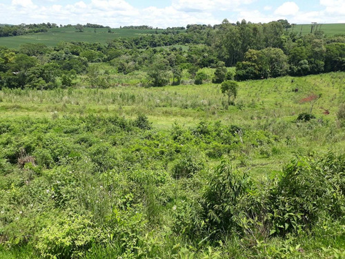 Imagem 5 de 15 de Imobiliária Águia Imperial Vende Sítio Em Céu Azul - Si0001