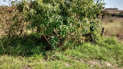 Imagem 7 de 20 de Chácara Com 2 Dormitórios À Venda, 1000 M² Por R$ 140.000,00 - Ninho Verde 1 - Porangaba/sp - Ch0028