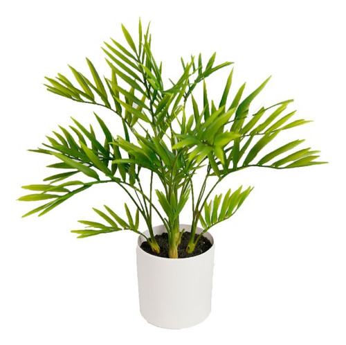 Planta Mini Palm, Palmera 41 Cm