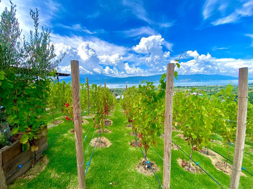 Terrenos En Pre Venta En La Ribera De Chapala