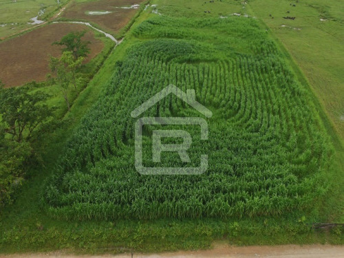 Imagem 4 de 21 de Fazenda - 229 - 70651803