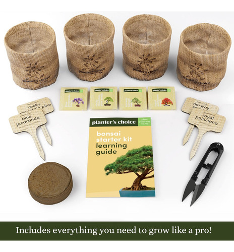 Kits Para Empezar Un Bonsái Con Árbol Y Herramientas De Adul