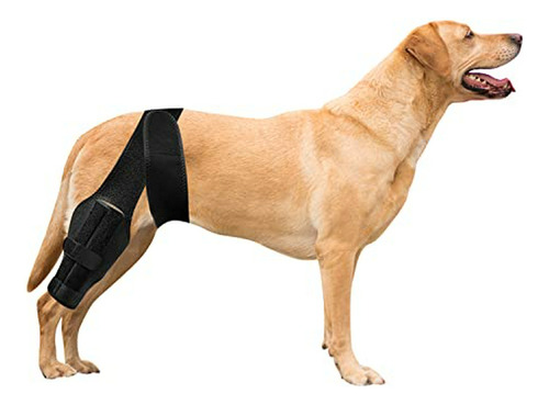 Rodillera Para Perros Con Problemas De Rodilla - Adaptable Y