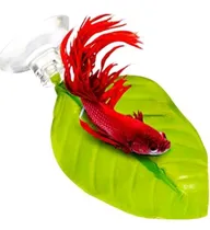 Comprar Folha Descanso Para Peixe Betta Kit 2 Unidades 