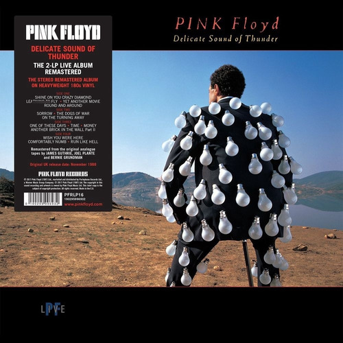 Pink Floyd Delicate Sound Of Thunder  Vinilo Doble Nuevo