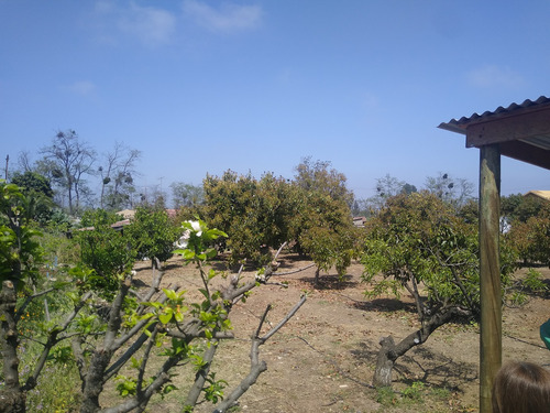 Venta Casa 5hab 3ba Olmué