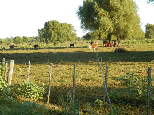 Imagen 6 de 6 de Chacras Del Curupí - Chacras Productivas Internas De 5 Has