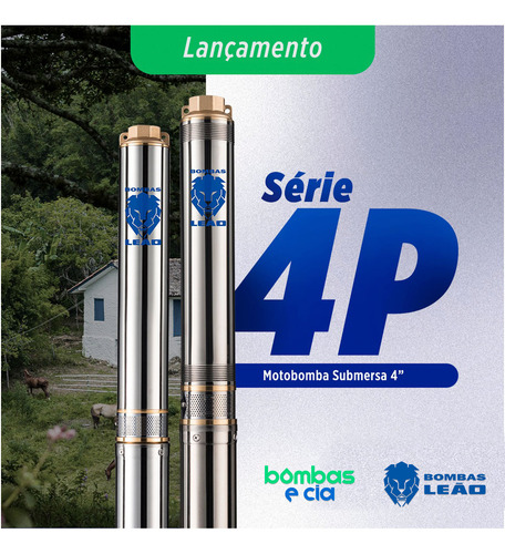Motobomba Submersa 4p3-15 1.5cv Monofásica 220v Com Painel