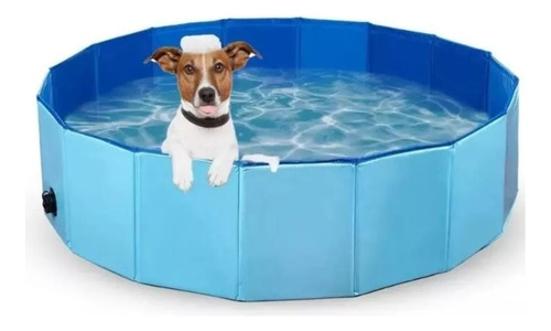 Piscina De Perro Ducha Para Mascotas De 80 Cm X 30 Cm Pvc 