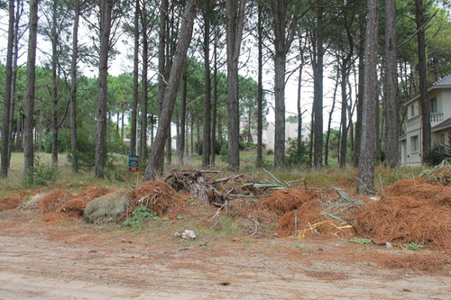 Imagen 3 de 3 de Lote En Venta - Zona Penelope / Ref: 1526