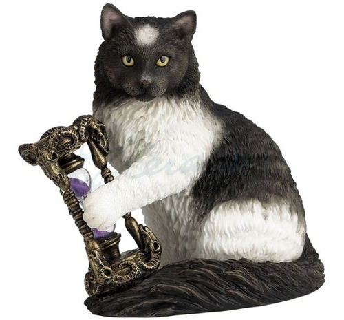 Figura Gato Con Reloj De Arena Pentaculo Wicca Lisa Parker