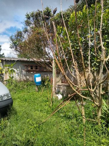 Chácara Com Casa Poço Frutas