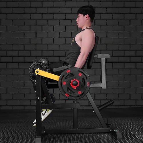 Cadeira Extensora E Flexora Exercit Para Anilhas Adking