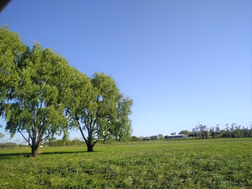 Terreno En Venta Marcos Paz  Financiado