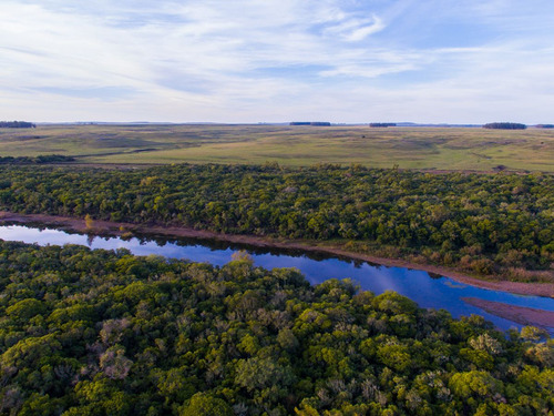 Campo En Venta En Salto Ref. 8771 (ref: Cbr-959)