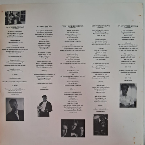 Lp Johnny Hates Jazz Turn Back The Clock (com Encarte) (Usado)