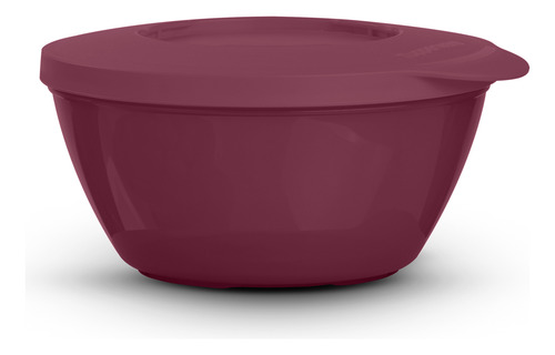 Tupperware Pote Style 425ml Hermético Bordô