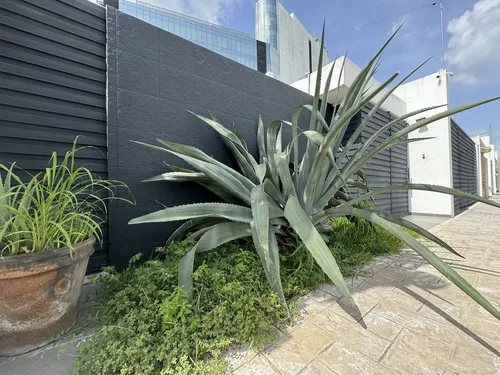 Casa En Venta En Colonia Montebello Merida Yucatan