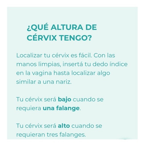 Asana Copa Menstrual Recta L - C/u L