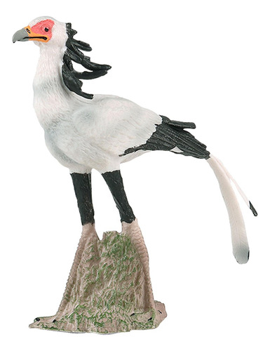 2 Figuras Pájaro Secretario Para Infantil Y 2 Piezas