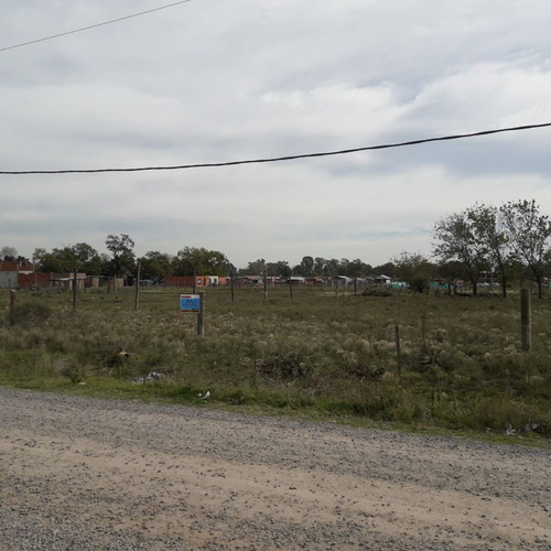 Terreno En Venta En Guernica