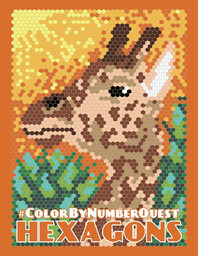 Livro: Color By Number Quest: Hexágonos (color Quest Color)