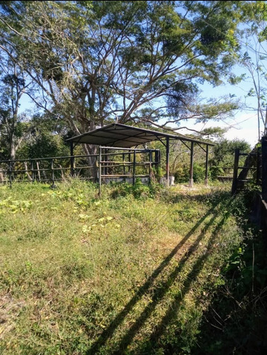 Imagen 15 de 16 de Vendo Finca Araguaney Yaracuy Dt