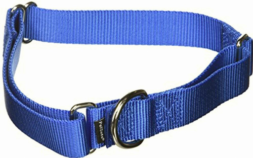 Petsafe Martingale Collar Para Perro, Alternativa Al Collar