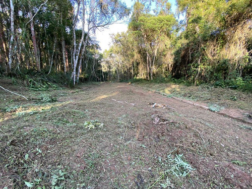 Terreno Lotes 500m2 Embu Sp Caputera São Paulo Cotia