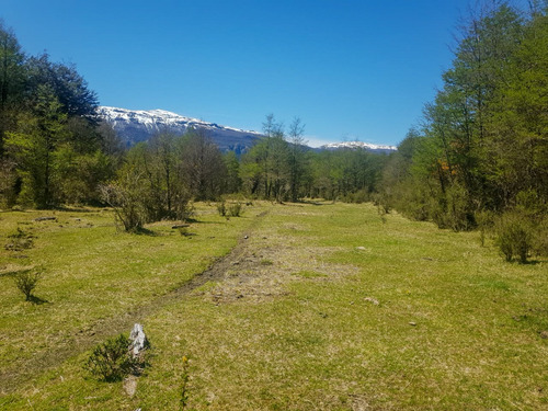 Campo De 297 Hectáreas Cercano A Cerro Castillo Con Río