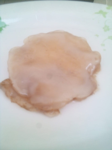 Scoby Y Kombucha